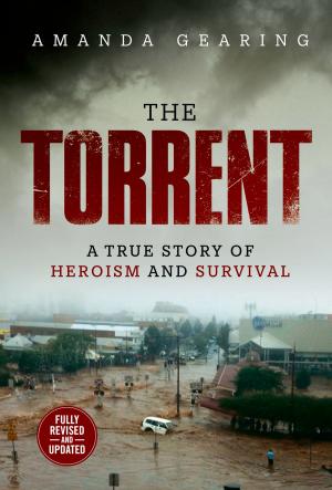 Cover of the book The Torrent by Rebecca Huntley