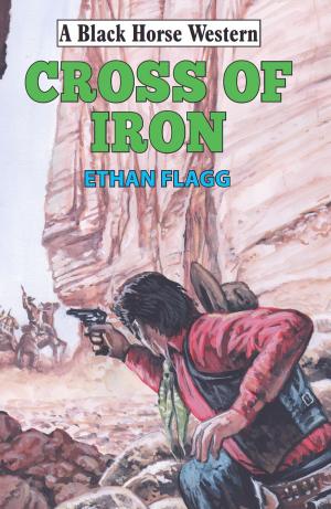 Cover of the book Cross of Iron by Maggie Lane