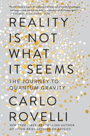 Cover of the book Reality Is Not What It Seems by David Allen