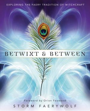 Cover of the book Betwixt and Between by Anousen Leonte