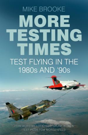 Cover of the book More Testing Times by Darren W. Ritson