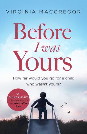 Book cover of Before I Was Yours