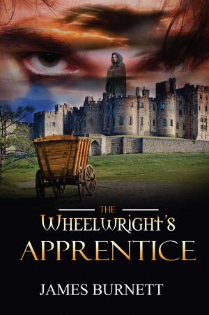 Cover of the book The Wheelwright's Apprentice by Lou Yardley