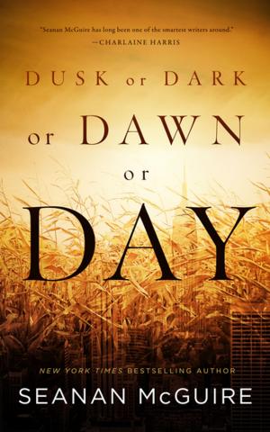 Cover of the book Dusk or Dark or Dawn or Day by Kent Wright, Don Keith