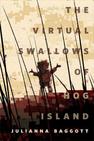 Cover of the book The Virtual Swallows of Hog Island by Jaime Lee Moyer