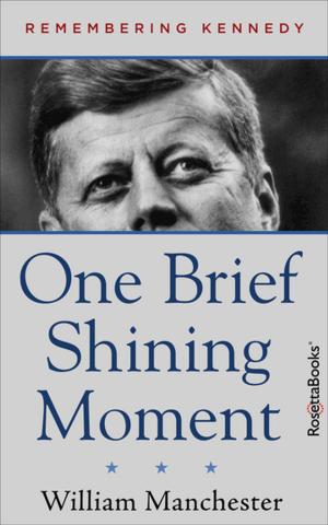Cover of the book One Brief Shining Moment by Edward Abbey