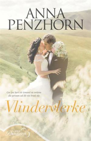 Cover of the book Vlindervlerke by Henk Breytenbach