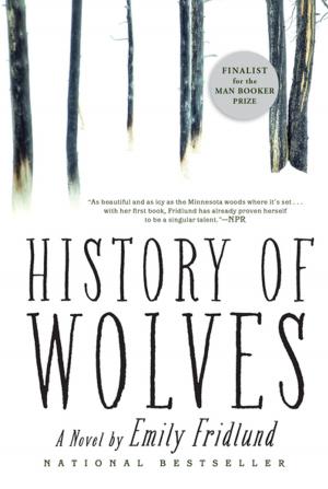bigCover of the book History of Wolves by 
