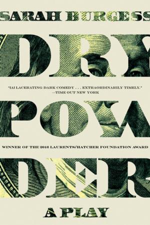 Cover of the book Dry Powder by Todd McCarthy
