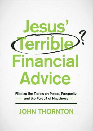 Cover of the book Jesus' Terrible Financial Advice by Cathy Gohlke