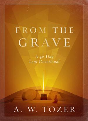 Book cover of From the Grave