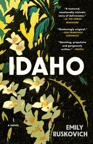 Cover of the book Idaho by Karen Marie Moning