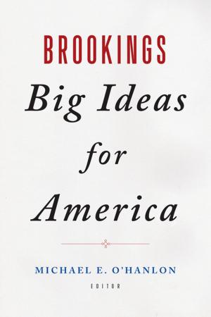 Cover of the book Brookings Big Ideas for America by Stephen Hess