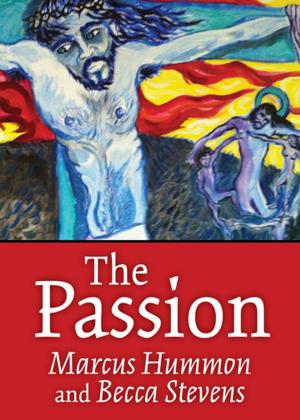 Cover of the book The Passion by Andrew Doyle