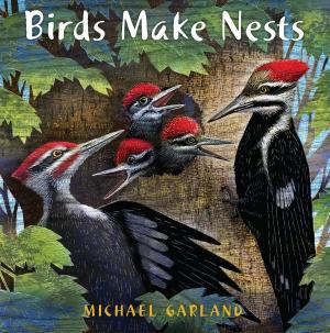 Cover of the book Birds Make Nests by Laurie Lawlor
