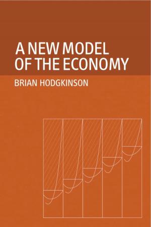 Book cover of A New Model of the Economy