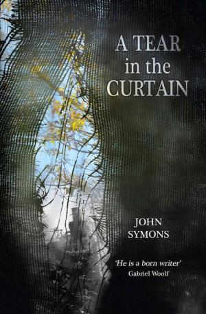 Book cover of A Tear in the Curtain