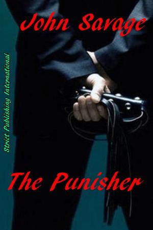 Cover of the book The Punisher by John Savage