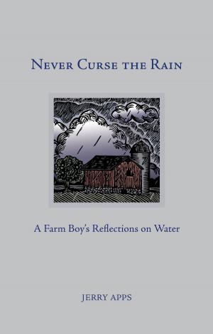 Cover of the book Never Curse the Rain by Jonathan Kasparek