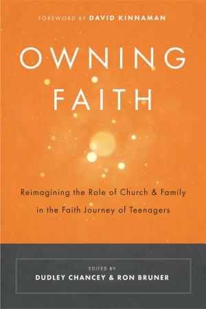 Cover of the book Owning Faith by Glynnis Whitwer
