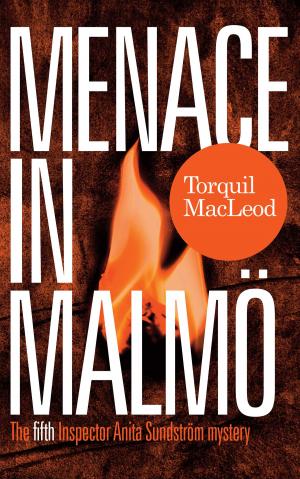 Cover of the book Menace In Malmö by Barbara Barrett