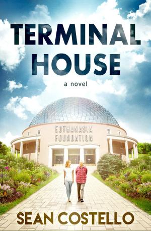 Book cover of Terminal House