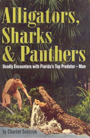 Cover of the book Alligators, Sharks & Panthers by Cindy Moy