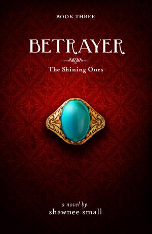Book cover of Betrayer