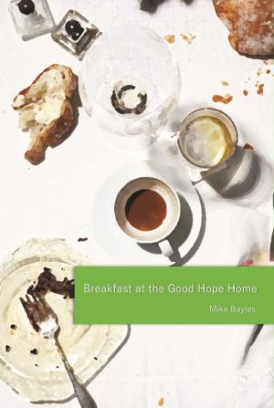 Cover of the book Breakfast at the Good Hope Home by Anne Enright