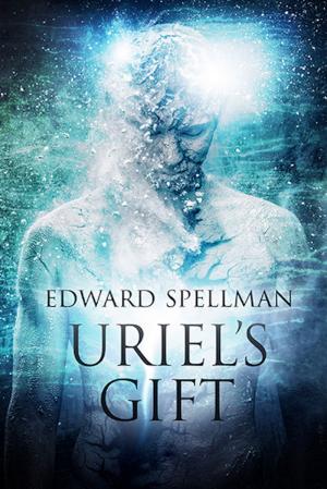 Cover of the book Uriel's Gift by Q. K. Philander Doesticks