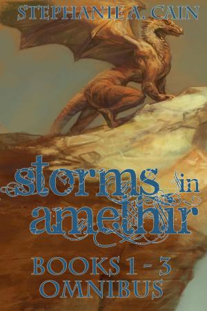 Cover of the book Storms in Amethir Omnibus 1 by Sandie Bergen