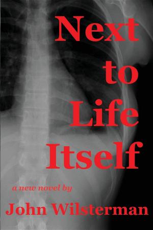 Cover of the book Next to Life Itself by Greg Blyth