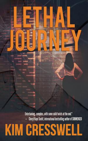 Cover of the book Lethal Journey by PG Burns