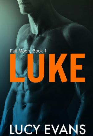 Cover of the book Luke by Leo Stenberg