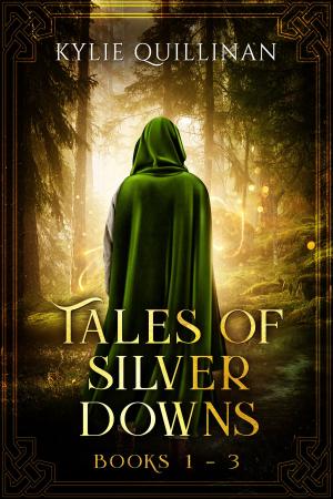 Book cover of Tales of Silver Downs