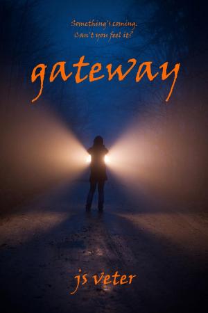 Cover of the book Gateway by Jon Hopkins