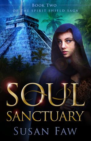 Cover of the book Soul Sanctuary by Thom Tordella