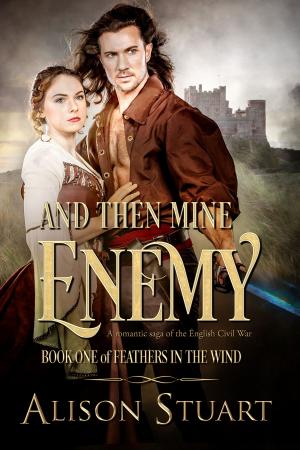 Cover of the book And Then Mine Enemy by Kathlena L. Contreras