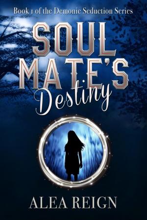 Cover of the book Soul Mate's Destiny by Olivia Waite