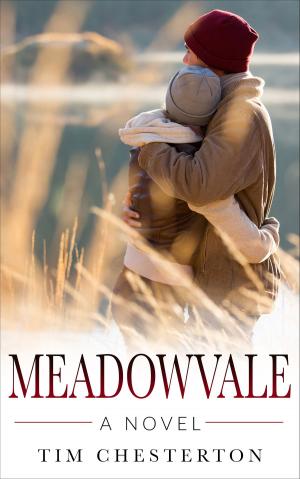 Cover of the book Meadowvale by Patrice Johnson