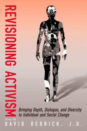 Cover of the book Revisioning Activism by Dan Carpenter