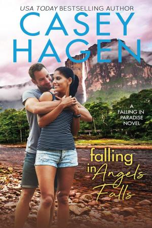Cover of the book Falling in Angels Falls by Casey Hagen