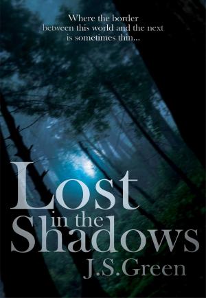 Book cover of Lost in the Shadows