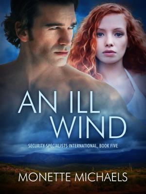 Cover of the book An Ill Wind by Janice Magerman