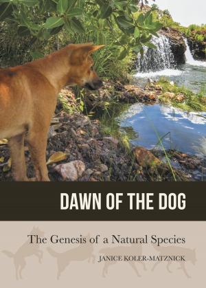 Cover of the book Dawn of the Dog by Candy Johnson