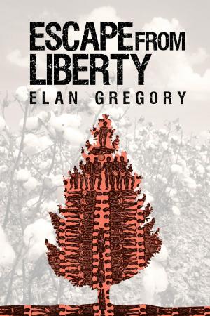 Cover of the book Escape From Liberty by Francisco Martín Moreno