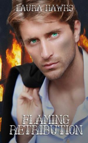 Cover of the book Flaming Retribution by Randy C Dockens
