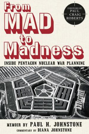 Cover of the book From MAD to Madness by Dr. Abdul-Haq Al-Ani
