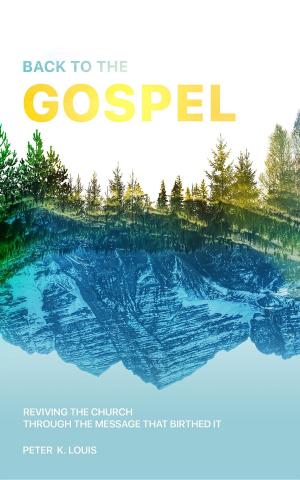 bigCover of the book Back to the Gospel by 