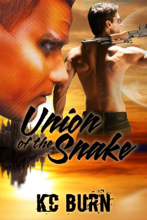 bigCover of the book Union of the Snake by 